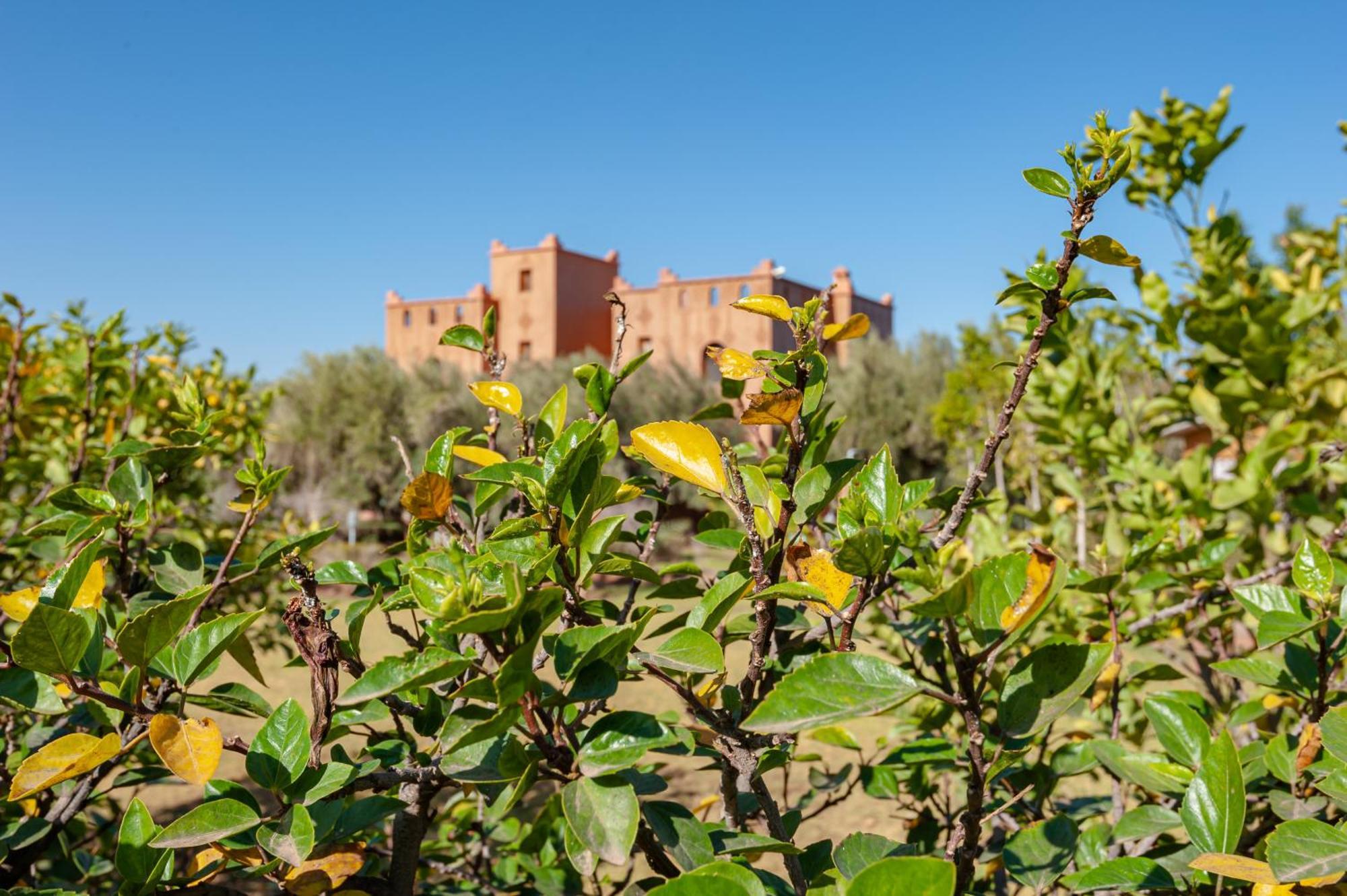 Вілла Ferme Sidi Safou & Spa Марракеш Екстер'єр фото