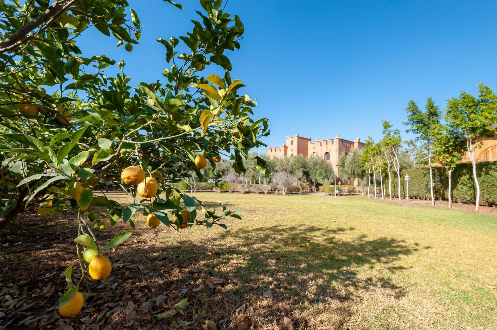 Вілла Ferme Sidi Safou & Spa Марракеш Екстер'єр фото